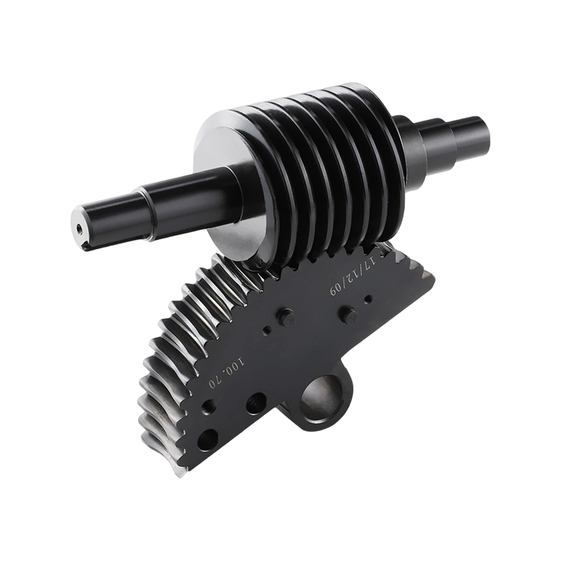 Ingranaggio elicoidale in offerta Macchinari alimentari Ruota a vite senza fine Ingranaggio a vite senza fine