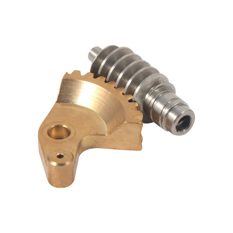 Fabbrica di ingranaggi di precisione lavorati a CNC su misura, pignone piccolo, ruota a vite senza fine in acciaio, ingranaggi a vite senza fine, motore, pompa